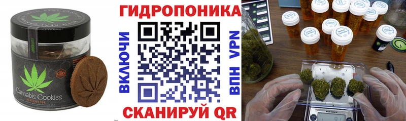 Печенье с ТГК конопля  дарнет шоп  Пойковский 