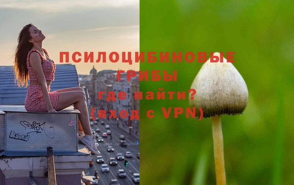 бошки Алексеевка